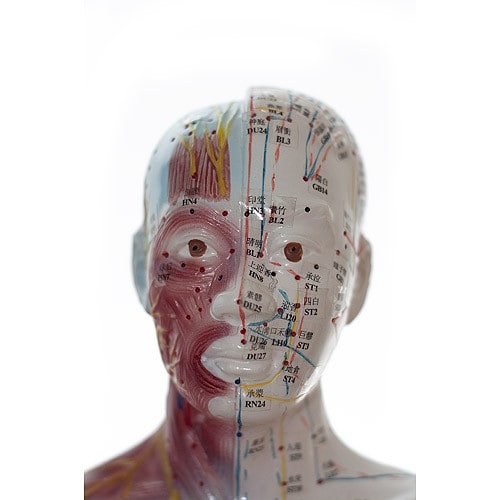 Human Acupuncture Model Medvana UK
