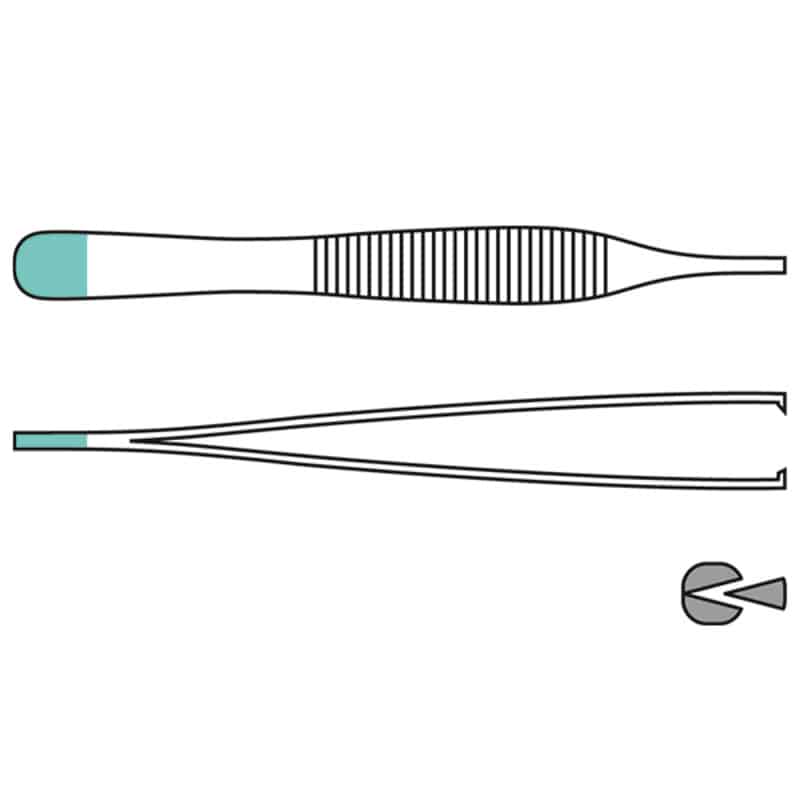 Adson Surgical Thumb Forceps, Straight, 12 cm Medvana UK