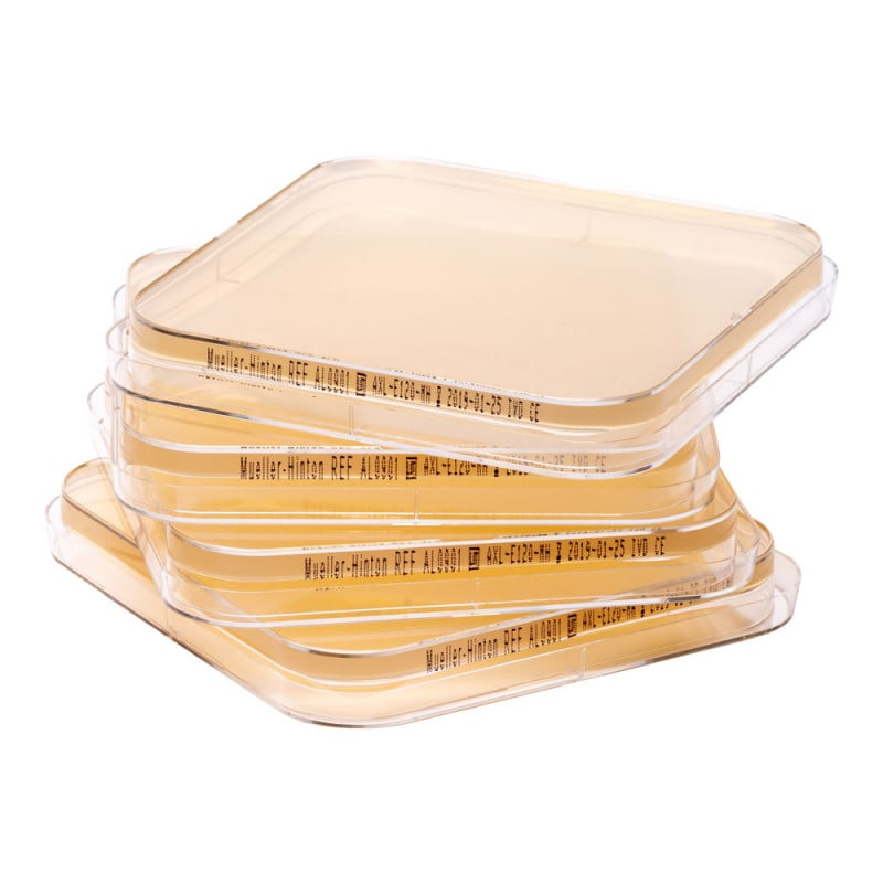 Mueller-Hinton Agar Medvana UK