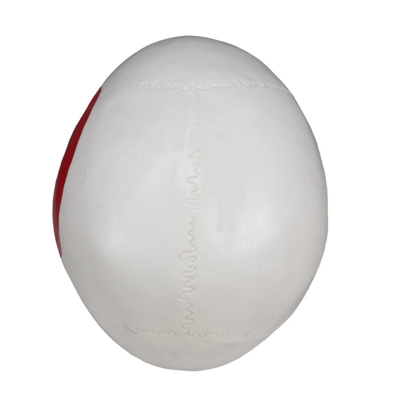 Skull Model with Painted Muscles Medvana UK