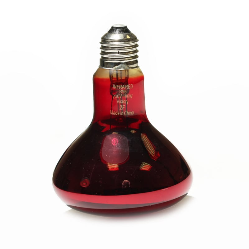 Bulb for Infrared Lamp standard Medvana UK