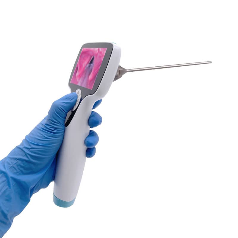 Veterinary Video Otoscope