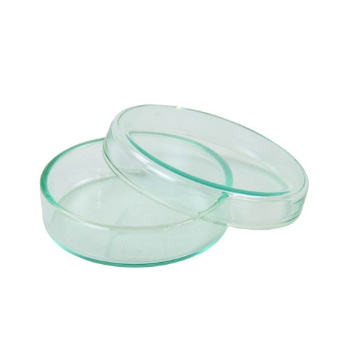 Petri Dish with Lid 6 cm Medvana UK