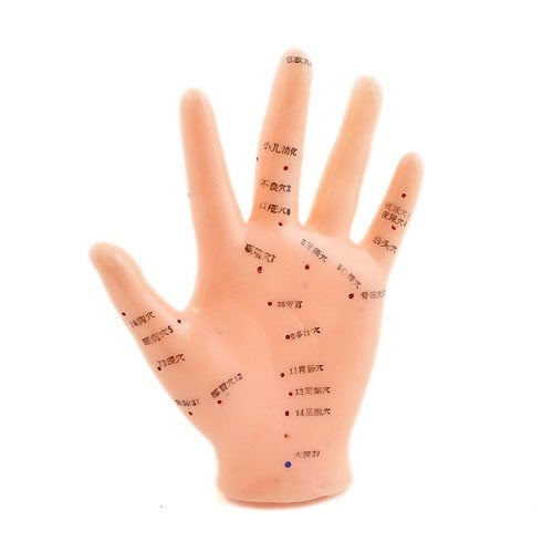 Hand Acupuncture Model Medvana UK