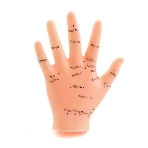 Hand Acupuncture Model Medvana UK