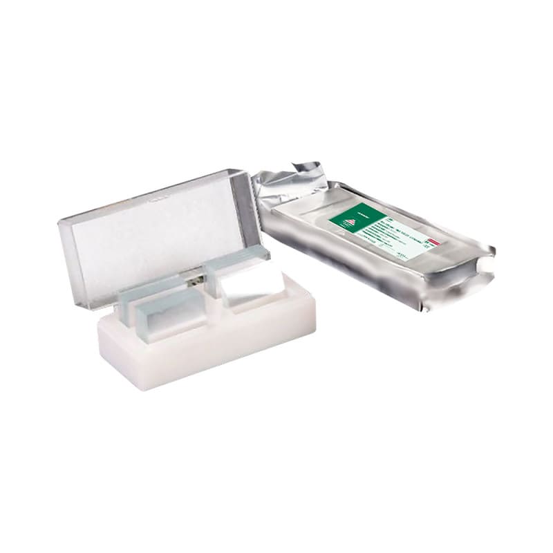 Cover Glass, Coarse 24 x 50 mm Medvana UK