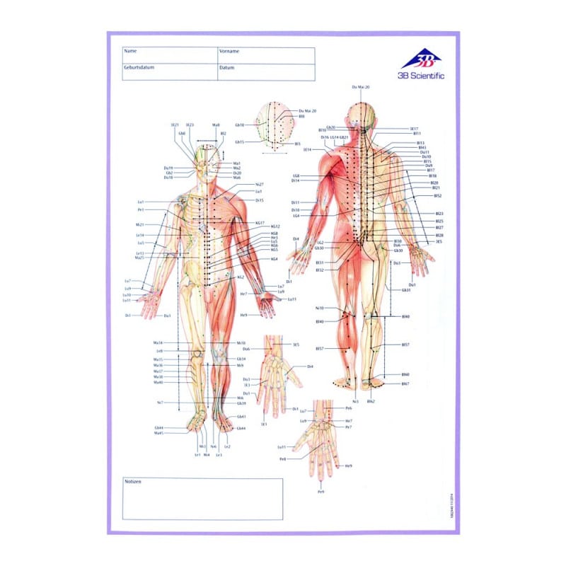 Meridian Notebook Medvana UK