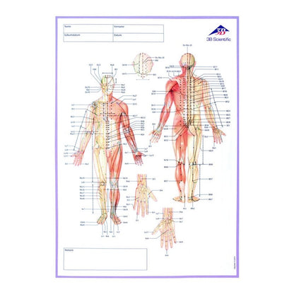 Meridian Notebook Medvana UK