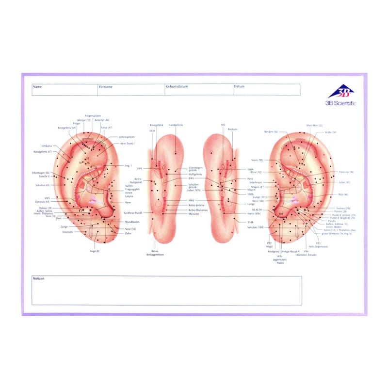 Meridian Notebook Medvana UK