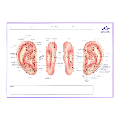Meridian Notebook Medvana UK