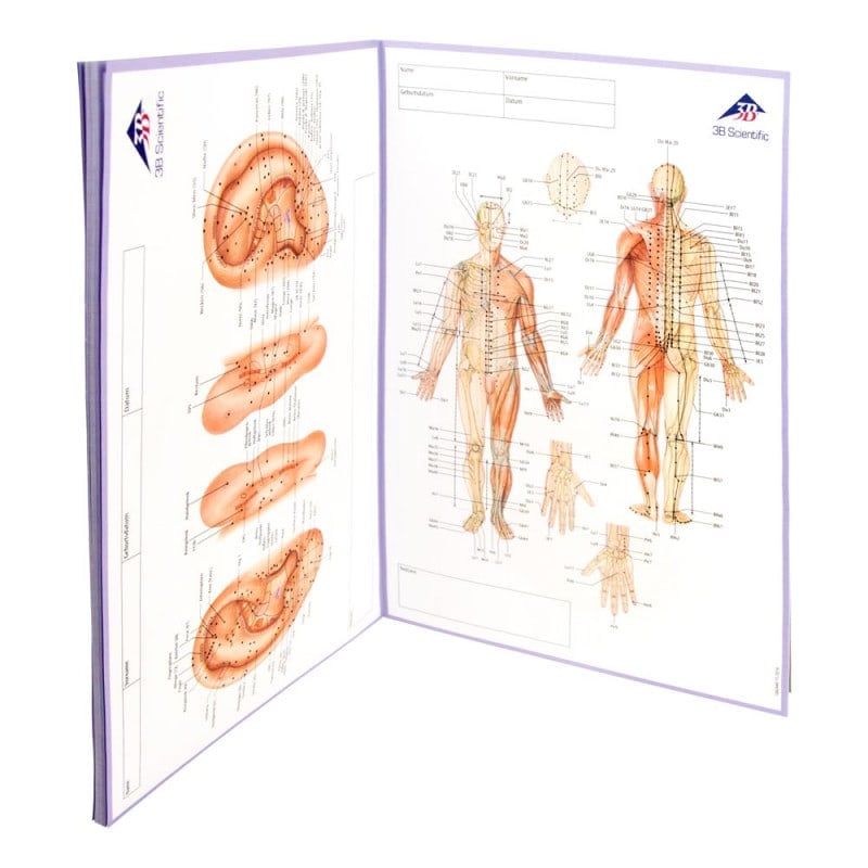 Meridian Notebook – Medvana