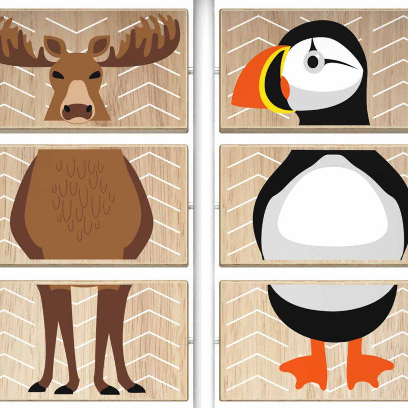 IKC Game Module "Animal Mixer" Medvana UK