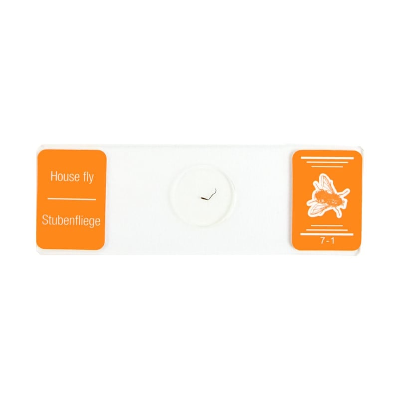 School Microscope Specimen Set Medvana UK