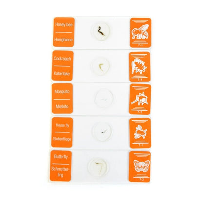 School Microscope Specimen Set Medvana UK