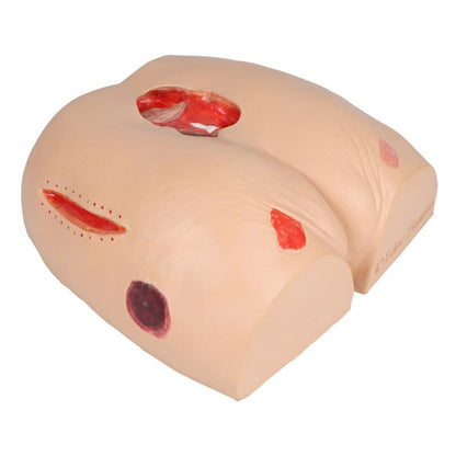 DECUBITUS DAN Treatment Simulator Medvana UK