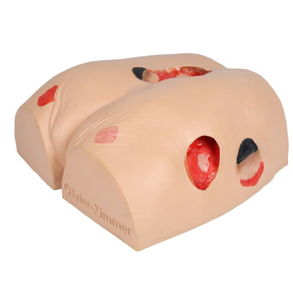 DECUBITUS DAN Treatment Simulator Medvana UK