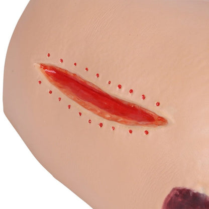 DECUBITUS DAN Treatment Simulator Medvana UK