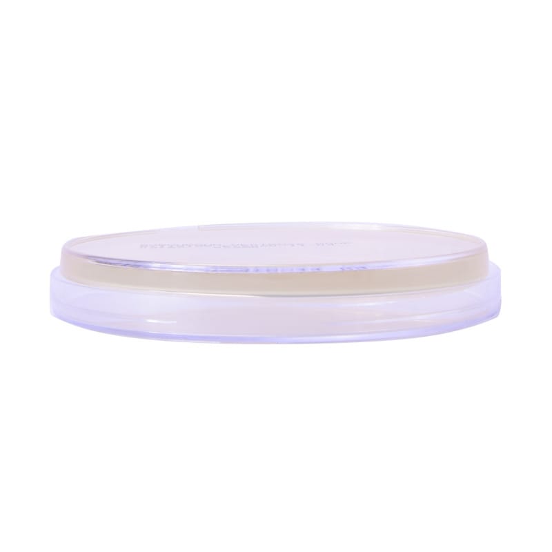 Sabouraud Dextrose Agar Medvana UK