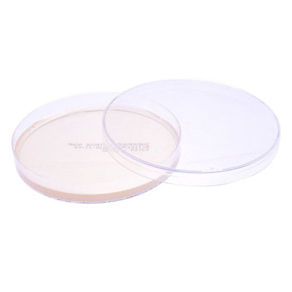 Sabouraud Dextrose Agar Medvana UK