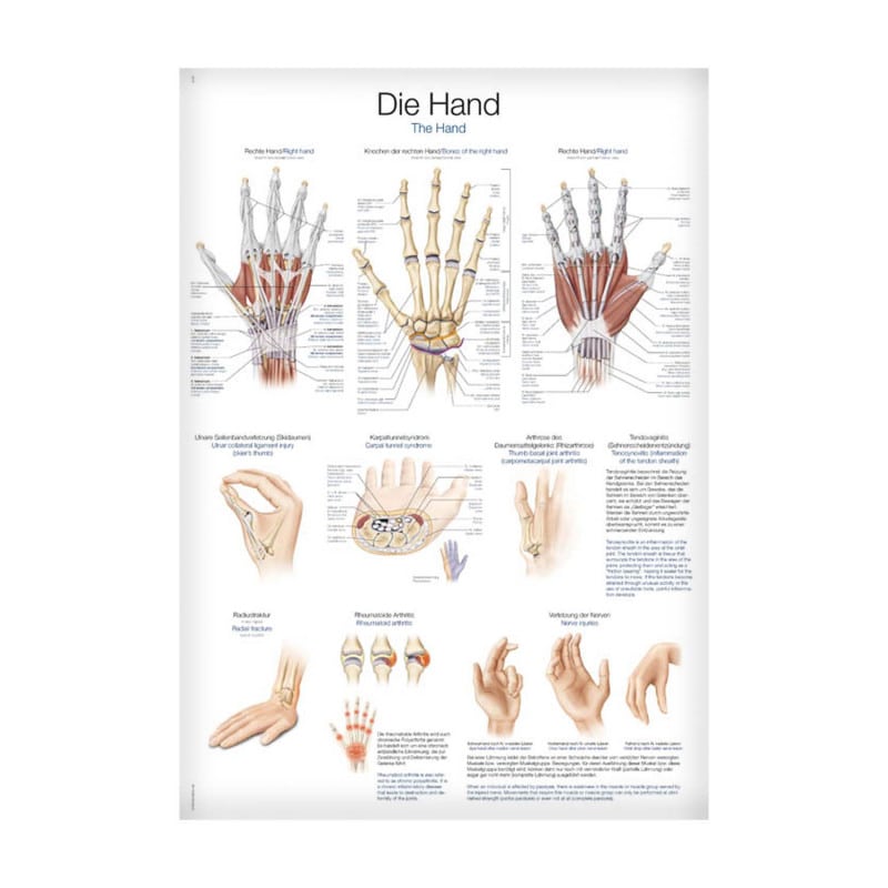 The Hand Wall Chart Medvana UK