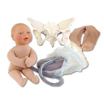 Deluxe Childbirth Model Set Medvana UK
