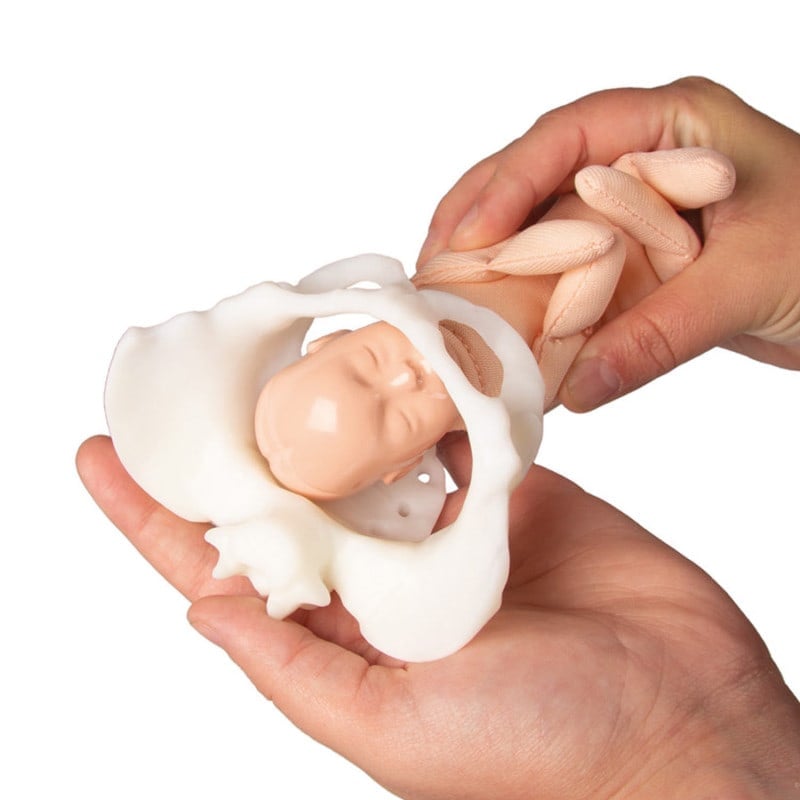 Mini Pelvis with Birthing Doll Medvana UK