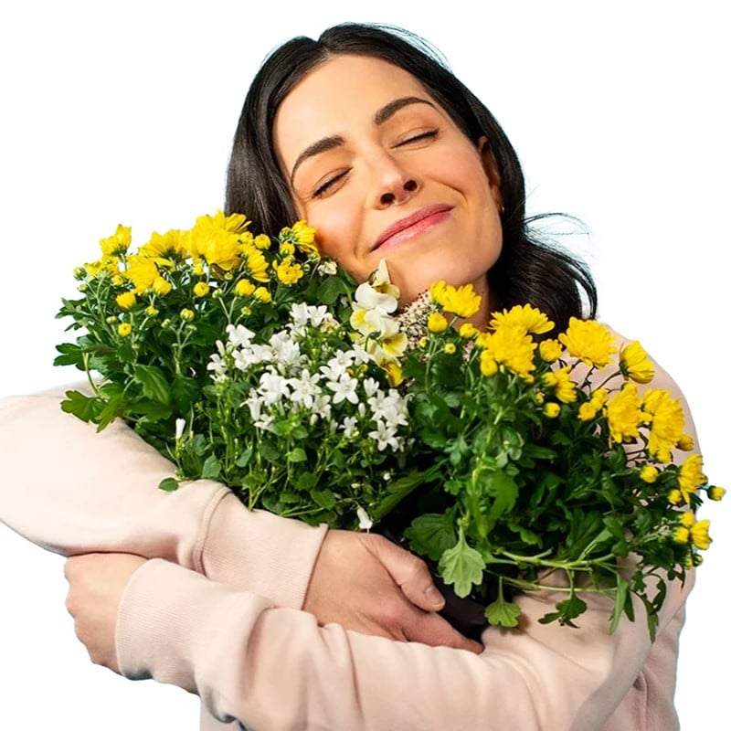 NOSA allergy filter Large Medvana UK