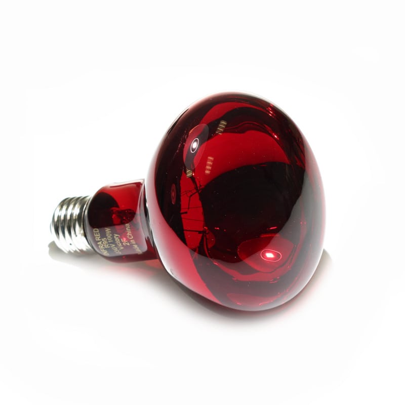 Bulb for Infrared Lamp intensive Medvana UK