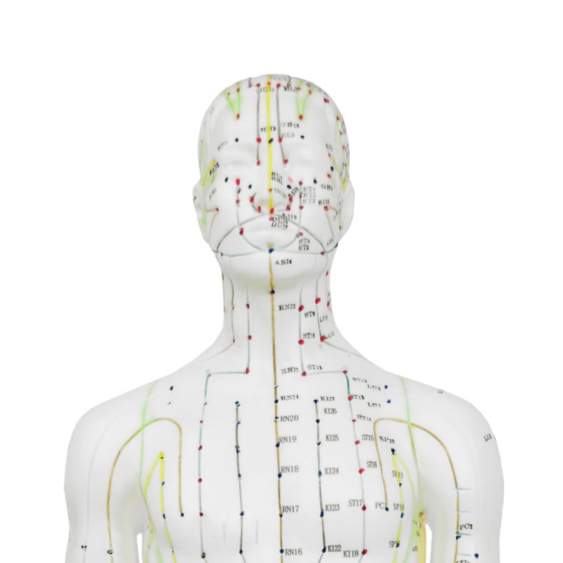 Male Acupuncture Model Medvana UK