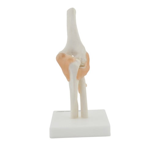 Elbow Model Medvana UK