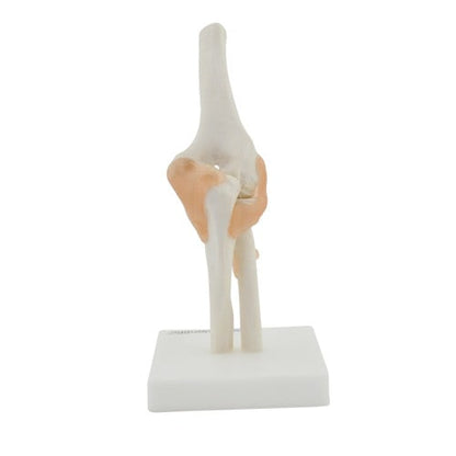 Elbow Model Medvana UK