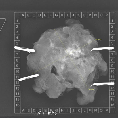 KLINITRAY™ Mammary Plates L | Large Medvana UK