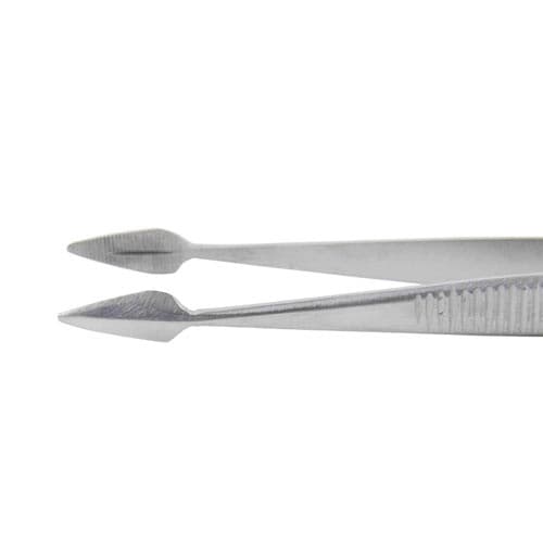 Hunter Splinter Forceps straight Medvana UK
